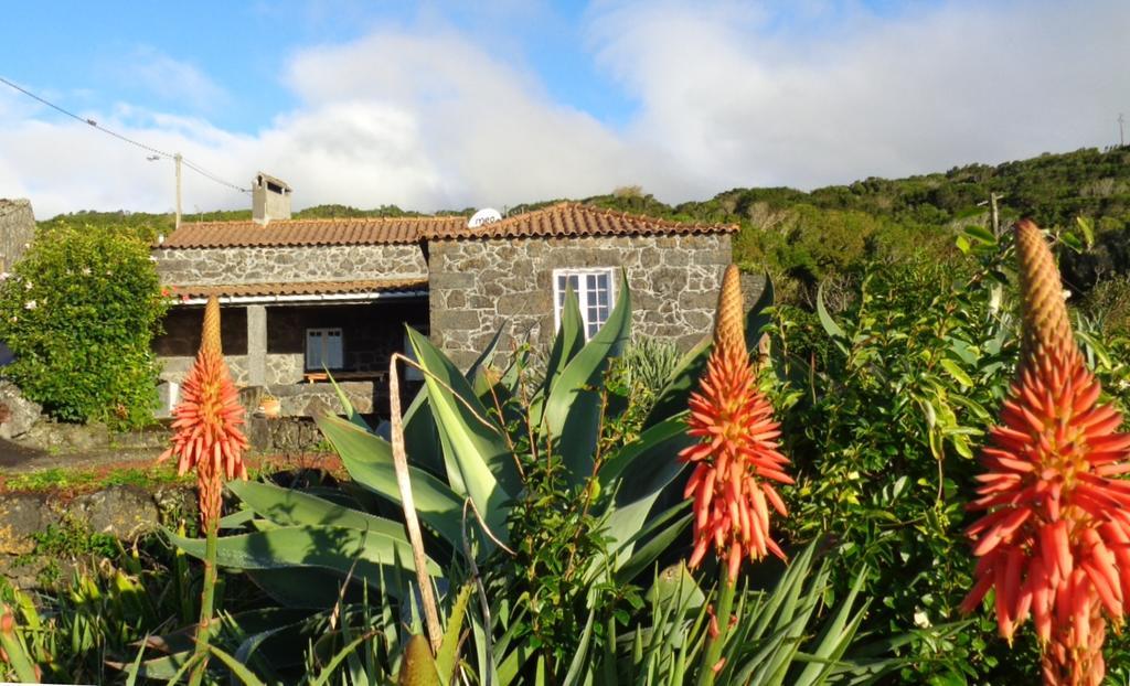 Villa Casa Do Bernardo Feiteira Exterior foto